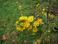 Rifugio_monte_Stornello - 20101031 033.jpg